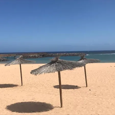 Casa Palmera