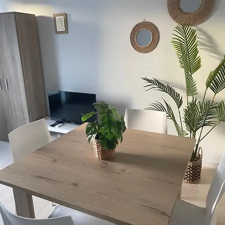 Apartment Casa Palmera *