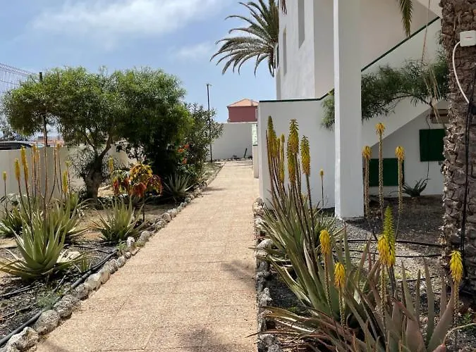 Apartment Casa Palmera