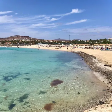 Apartamento Casa Palmera