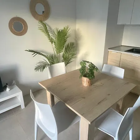 Apartment Casa Palmera *
