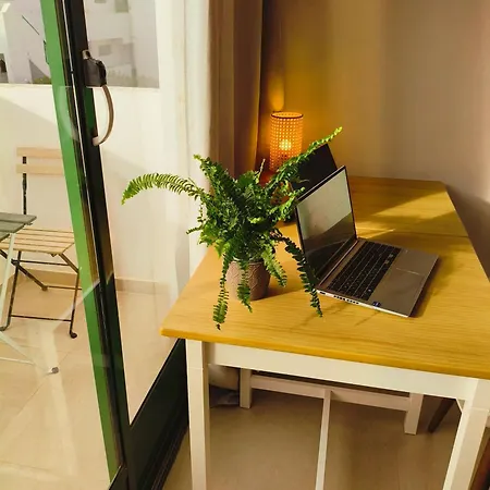 Casa Palmera Apartamento