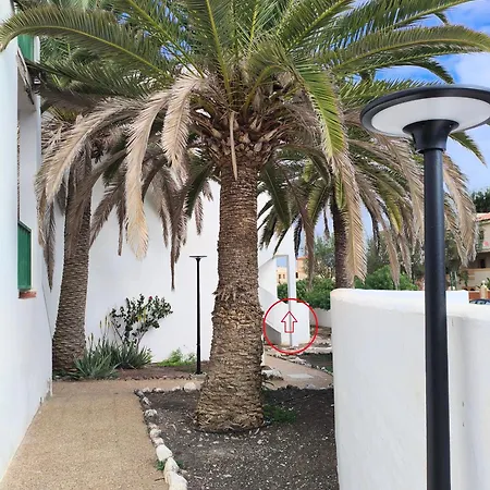 Apartamento Casa Palmera Costa De Antigua