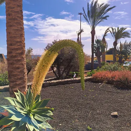 Apartamento Casa Palmera *