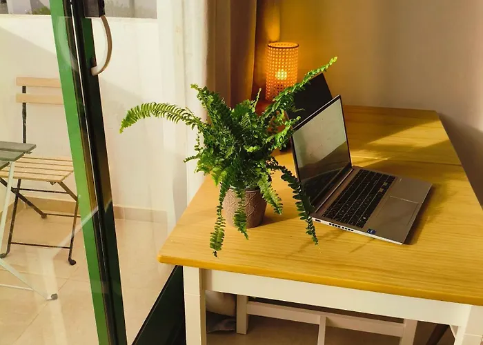 Casa Palmera Appartamento