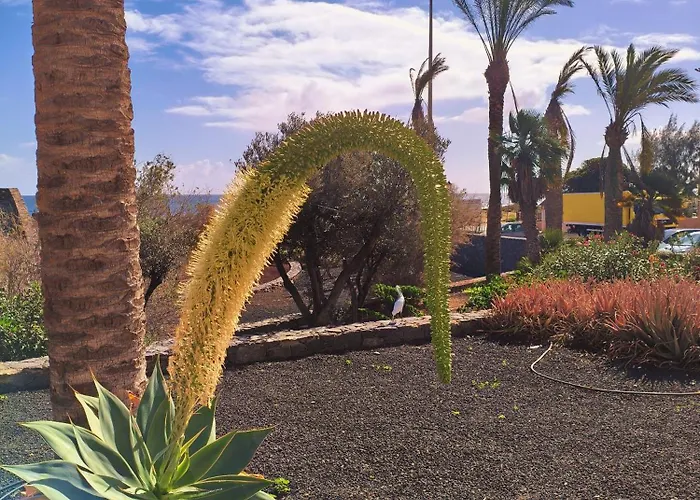 Appartamento Casa Palmera *